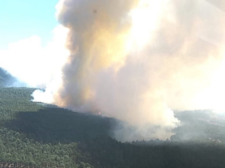 Avanza incendio forestal en Las Vigas