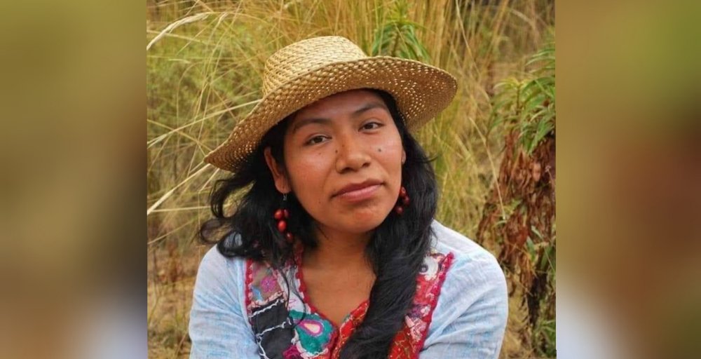 Reportan desaparecida a ambientalista de Oaxaca