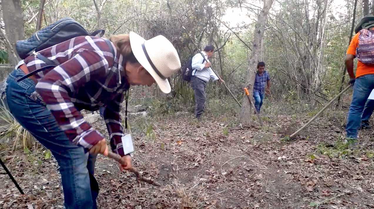 La Zona Norte de Veracruz, una gran fosa clandestina sin explorar