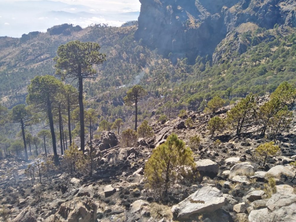 Extinguido el incendio forestal del Parque Nacional Cofre de Perote: PC