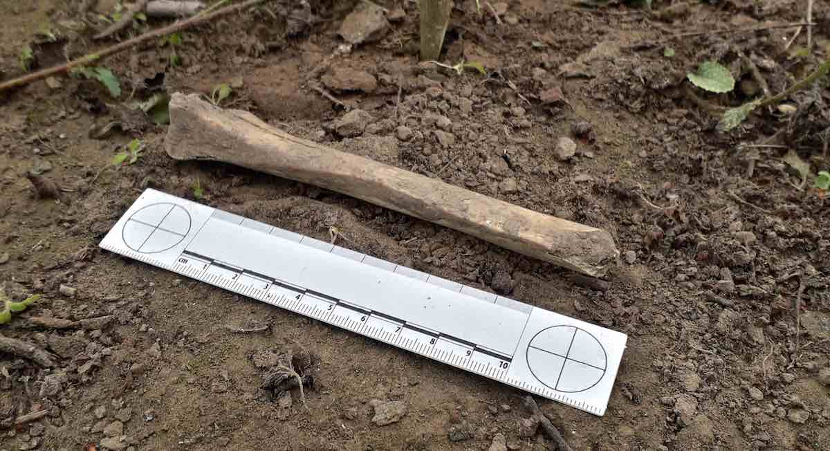 Localizan restos humanos, ahora en Poza Rica