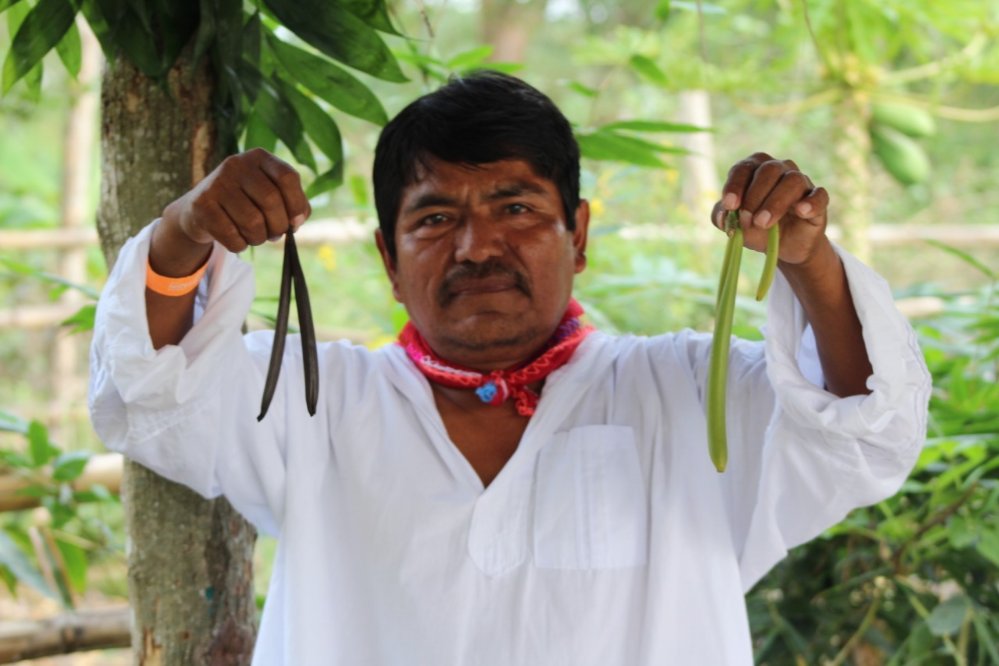 Mercado transformó el beneficio de la vainilla