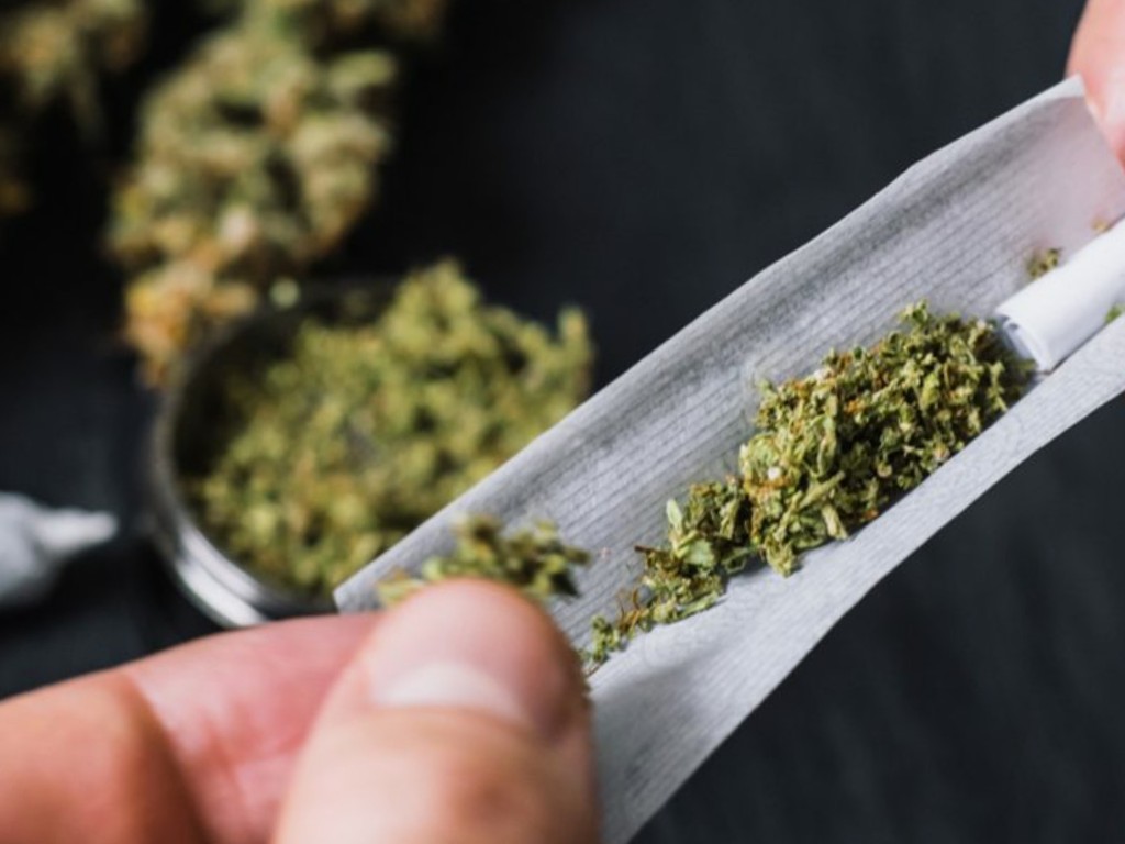 El negocio de la «mota», una gran oportunidad de hacer dinero legal