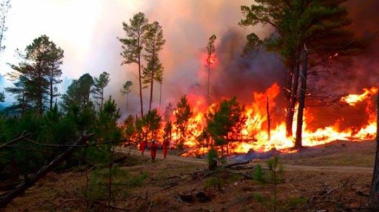 Prevén incendios forestales a causa de sequía, llaman a la prevención