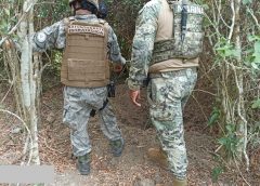 Personal internándose en la maleza para buscar la toma clandestina