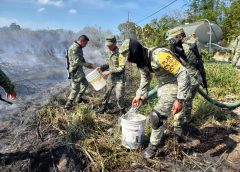 Personal del Ejército Mexicano apagando el incendio de un pastizal