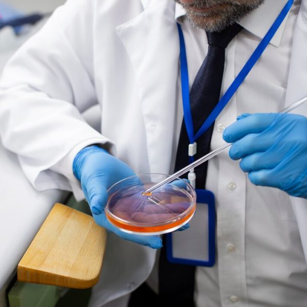 Próxima pandemia la podrían ocasionar los hongos. Esto dice la OMS