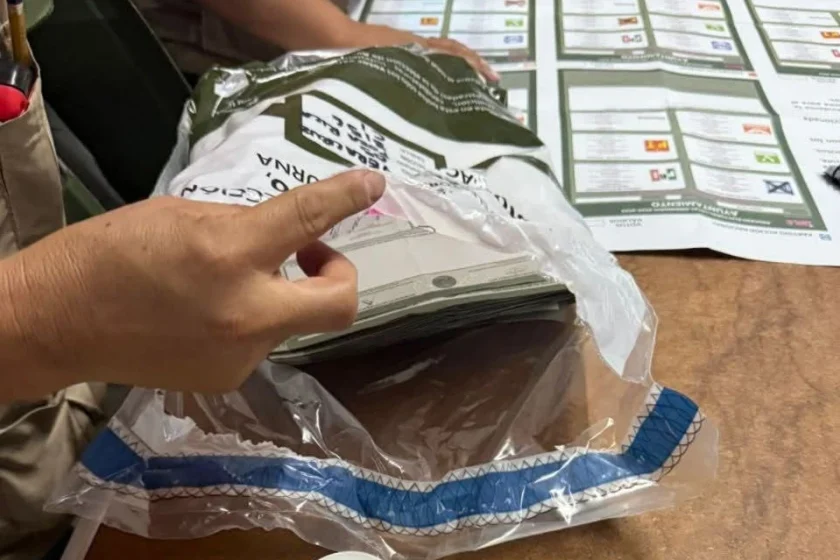 paquetería electoral