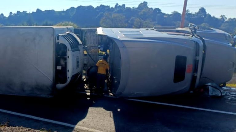 Volcadura de tráiler con pavos desata rapiña sin que nadie hiciera nada