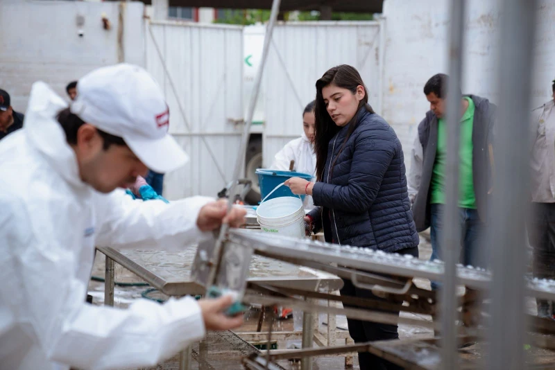 Recuperan Centro de Salud Animal de Poza Rica tras inundaciones