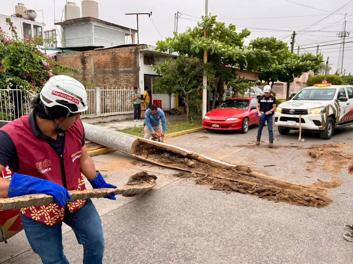 Fuertes vientos del Frente Frío 41 provocan caída de árboles en Poza Rica