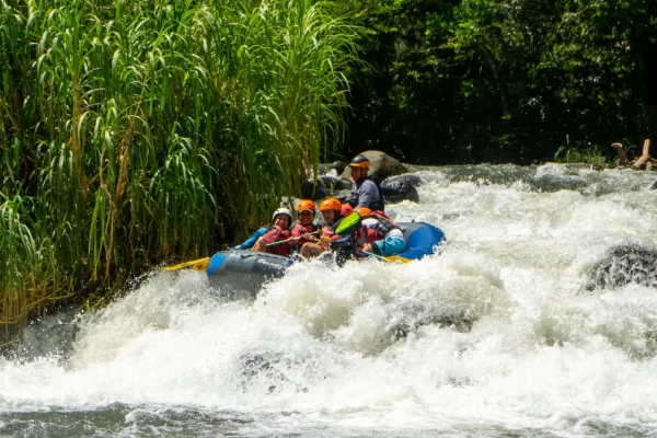 Paisajes turísticos de Veracruz con playas, montañas y sitios históricos