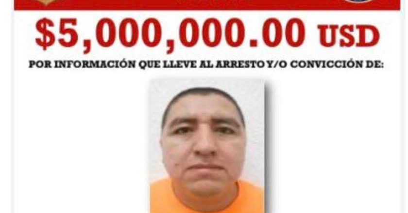 Detiene Secretaría de Marina a “El Jardinero”, presunto líder del CJNG, en Nayarit